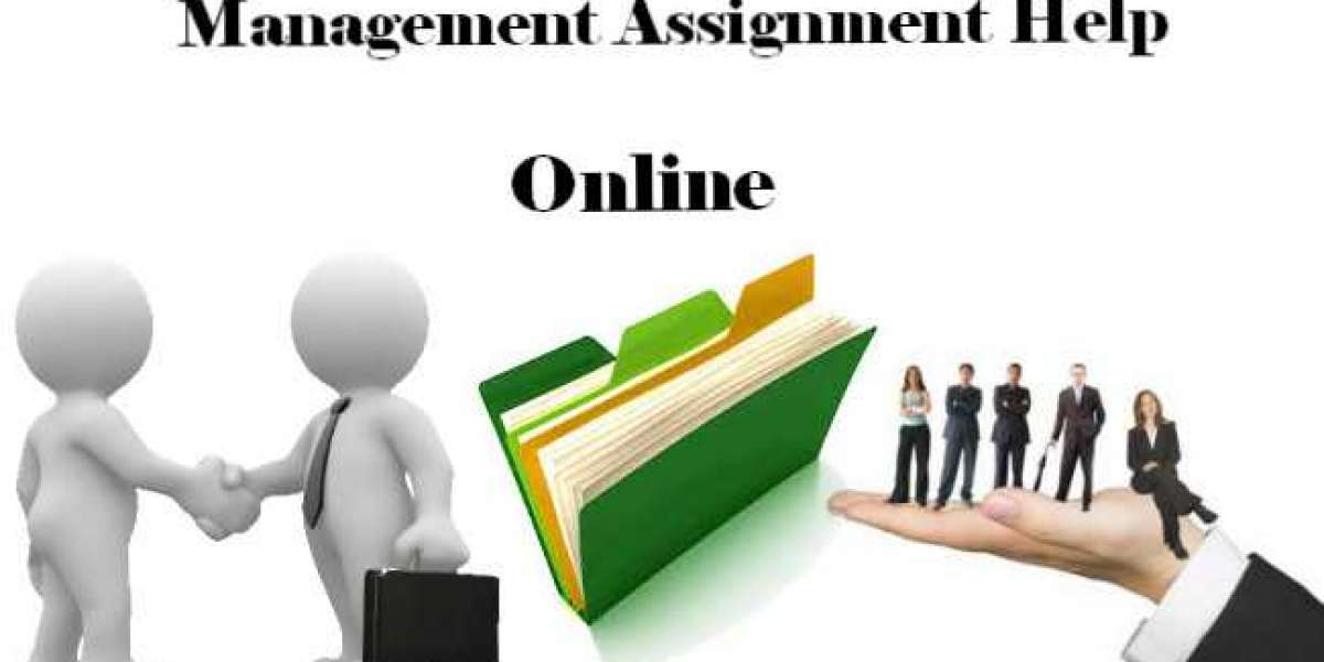 International Business Management Assignment Help