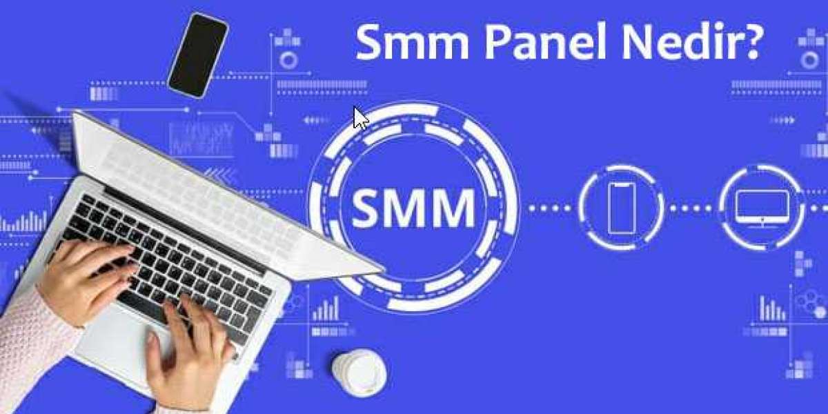 SMM Panel: LiderTakipçi