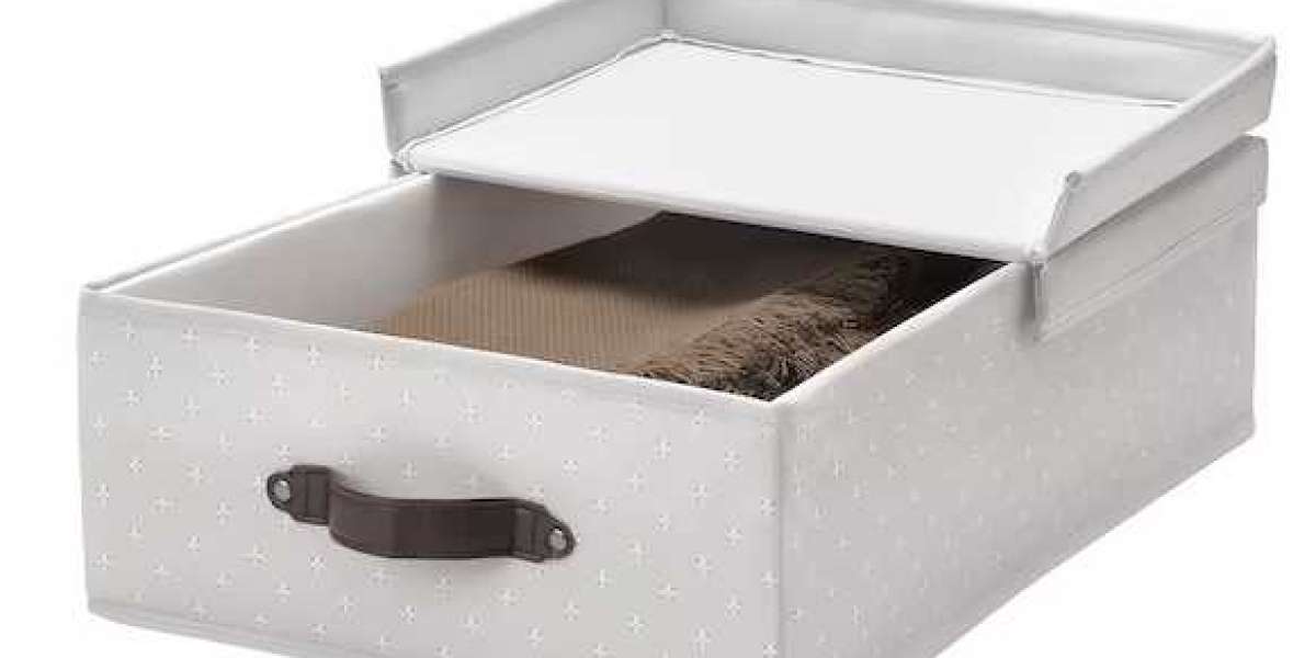 Folomie Bedroom Storage Boxes wit Lids - Premium Pabric, Durable Construction