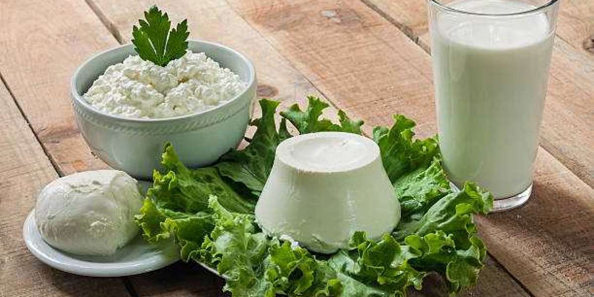 Lactase Market Forecast Latest Innovations, Future Scope And Market Trends 2027