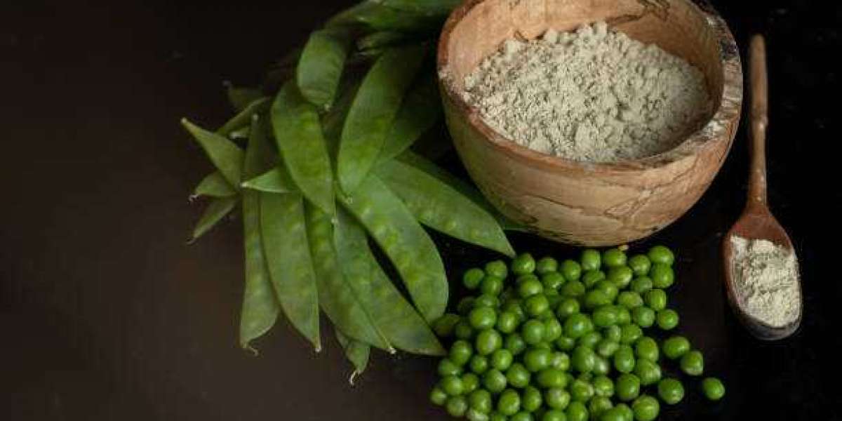 Pea Protein Market Forecast Key Players, Size, Trends, Opportunities and growth Analysis By 2030
