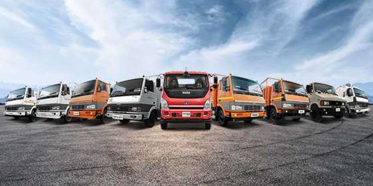 China Light Commercial Vehicles Industry Analysis 2022-2030