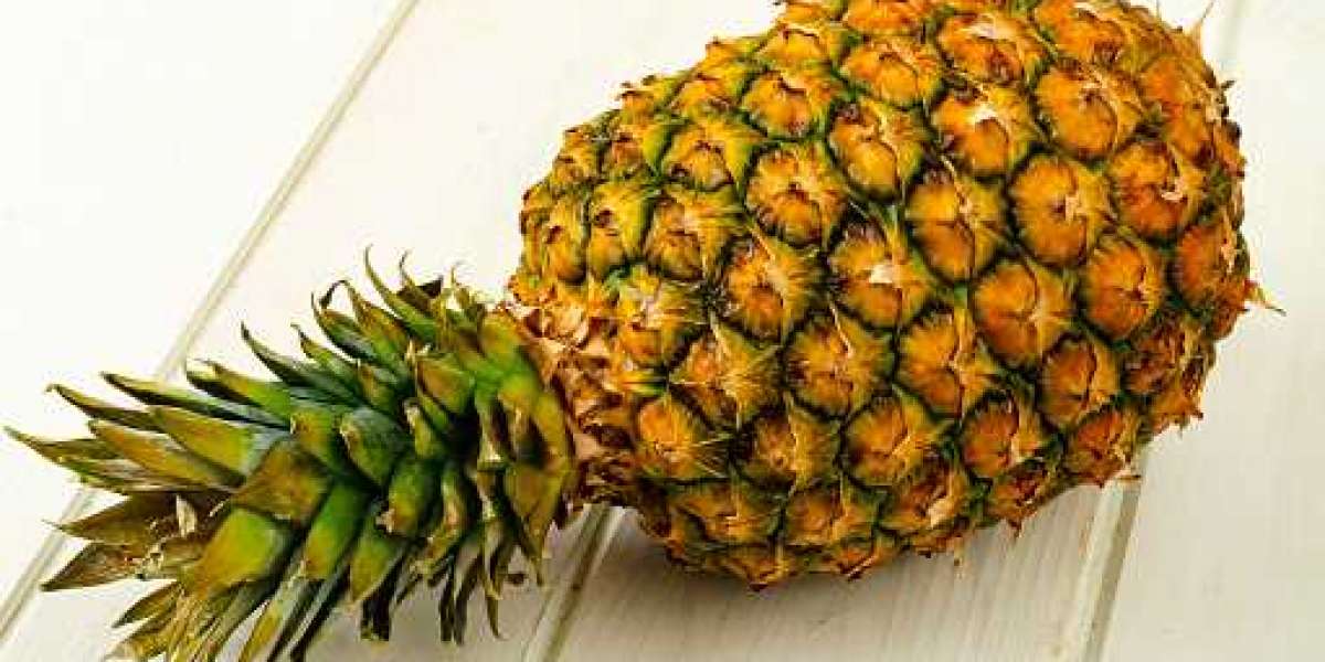 Bromelain Market Insights: Top Companies, Demand, and Forecast to 2027