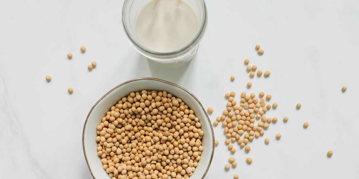 Soy Milk Market Size, Opportunities, Trends, Products, Revenue Analysis, For 2030