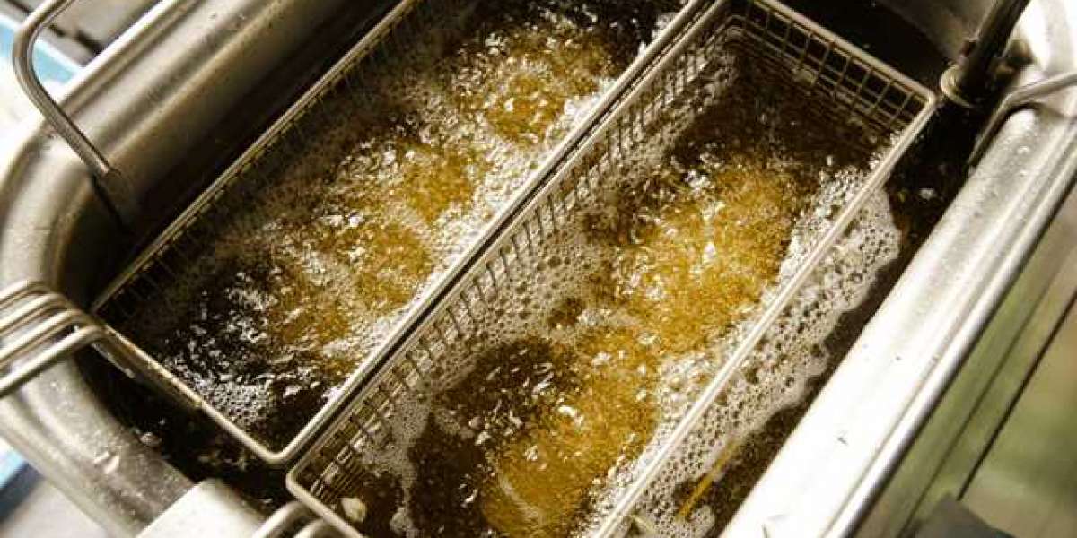 Used Cooking Oil Market Size, Revenue Share, Growth Factors, Trends, Analysis & Forecast 2030