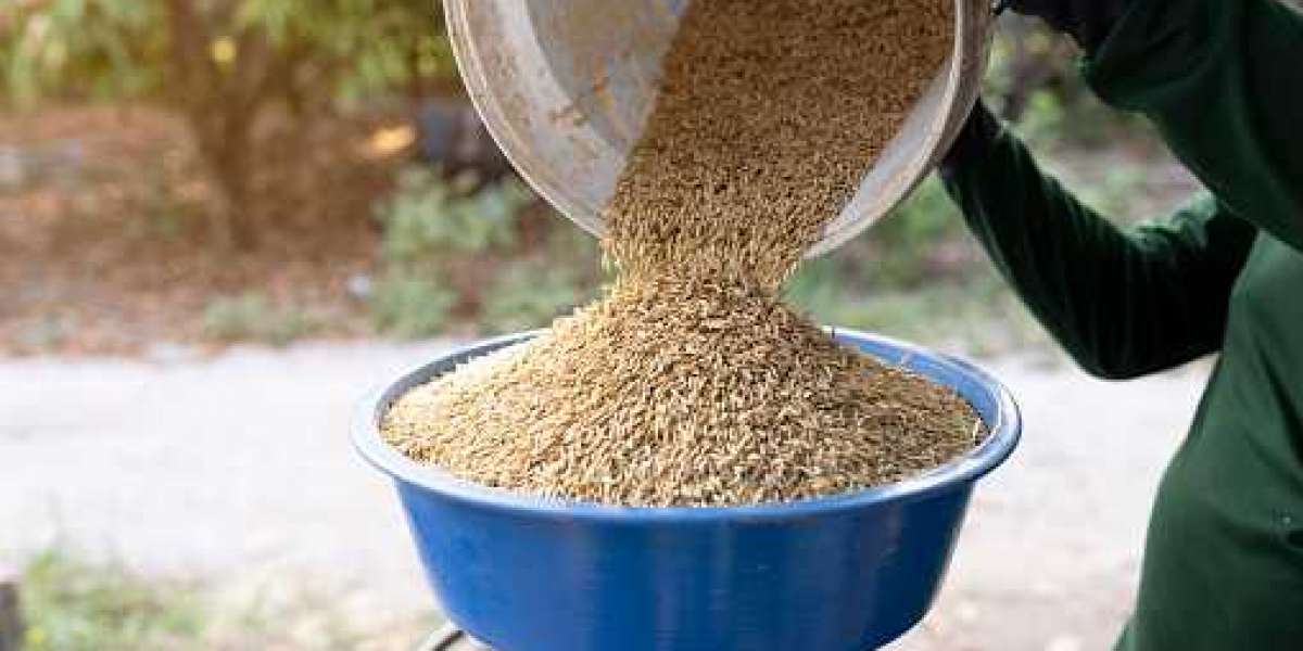 Distillers Grains Key Market Players, Demand, Share, Growth And Analysis 2022-2030