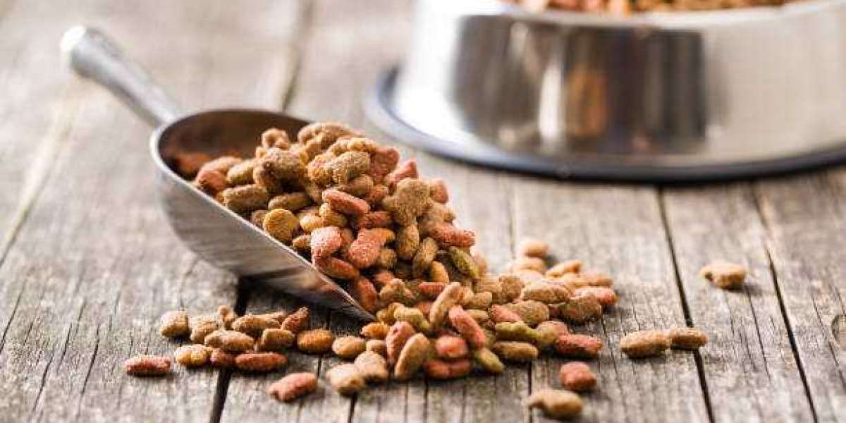 Pet Food Ingredients Market Overview, Revenue, Trends, Growth Factors, Region and Country Analysis & Forecast To 203