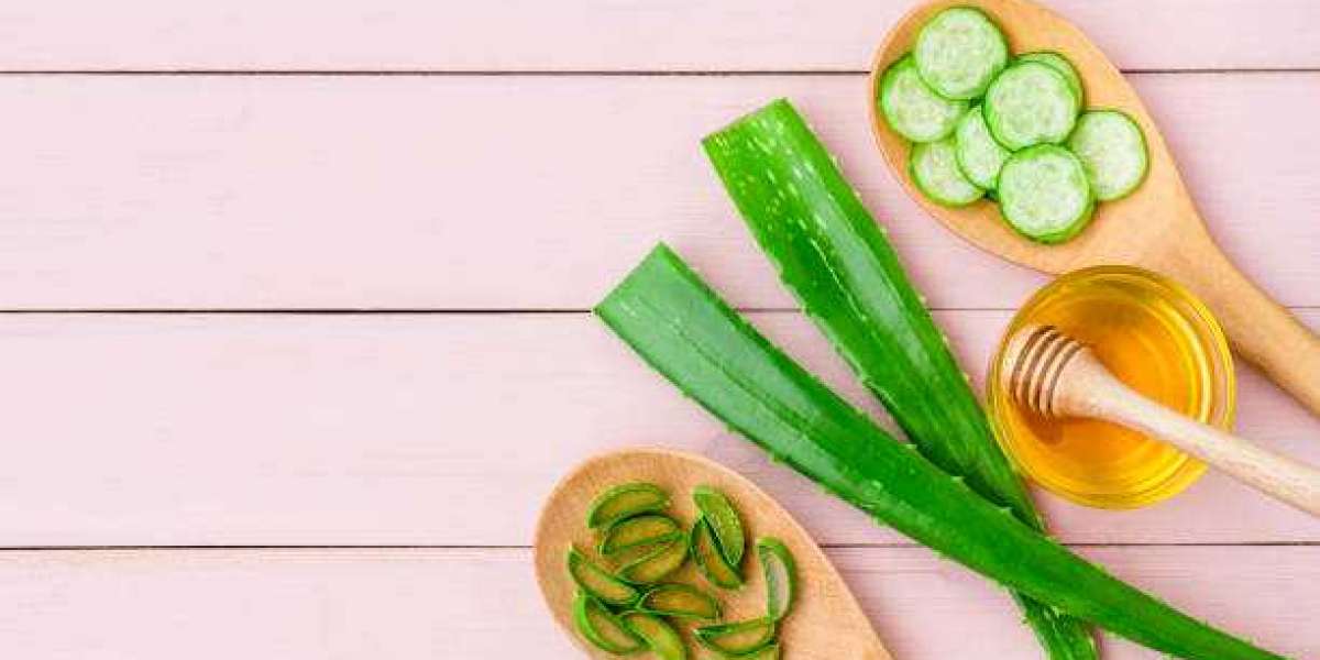 Aloe Vera Products Market Size, Competitive Landscape, Revenue Analysis By 2030