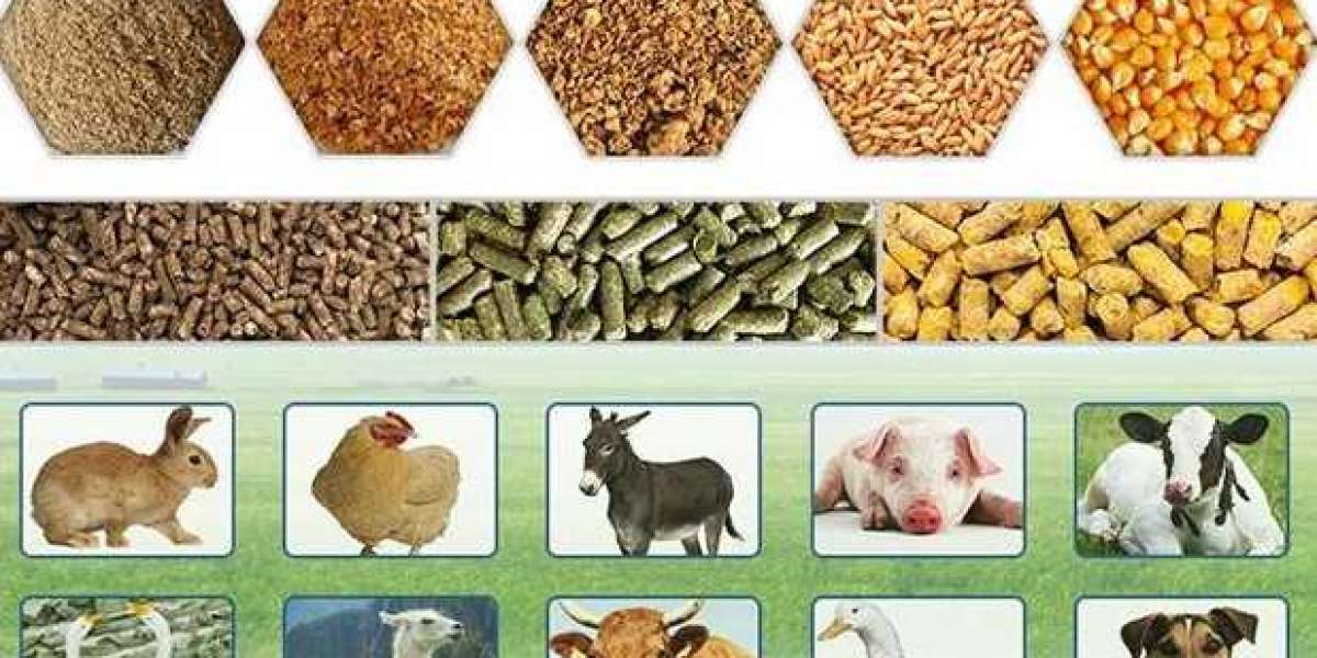 Poultry Feed Market Overview, Size, Trends, Revenue Share Analysis, Forecast to 2030