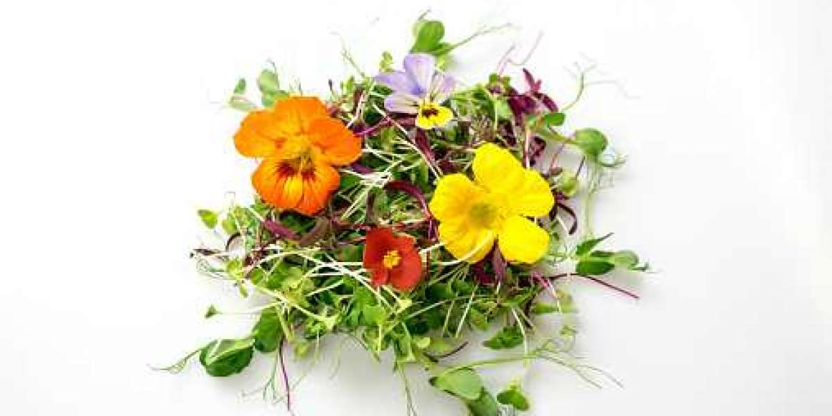 Edible Flowers Market Share of Top Companies with Application, and Forecast 2030