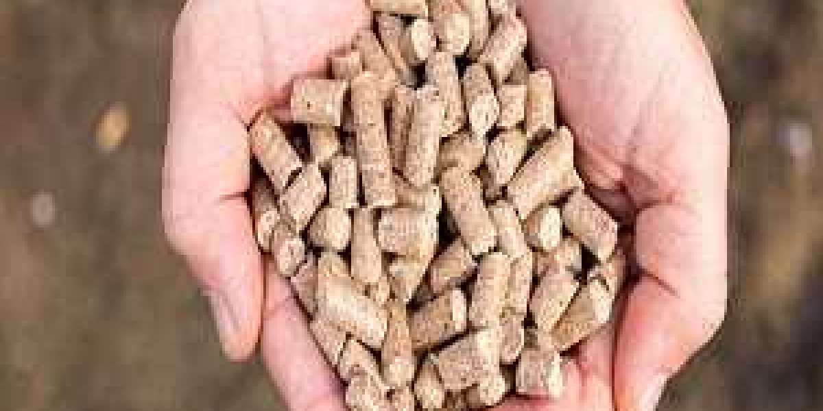 Compound Feed Market Development Strategy, Gross Margin and Investment Opportunities till 2022-2030