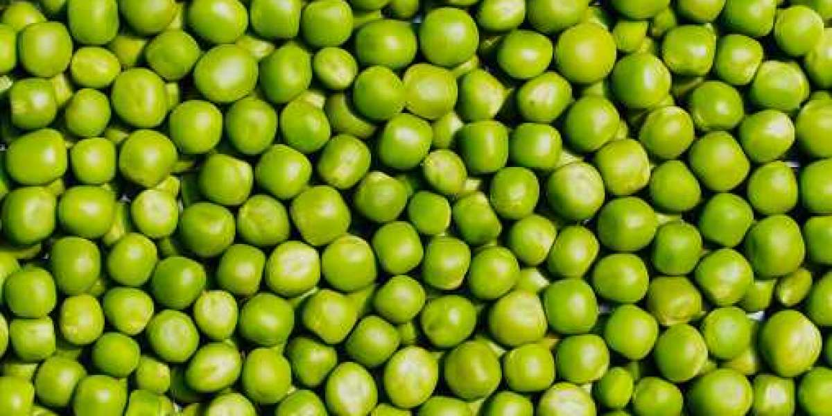 Pea Starch Market Insights: Top Companies, Demand, and Forecast to 2030