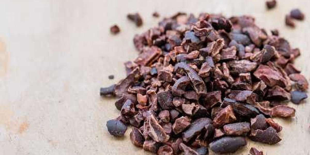 Cocoa Nibs Market Insights, Emerging Trends, Analysis, Growth Opportunities, Updates, News and Data
