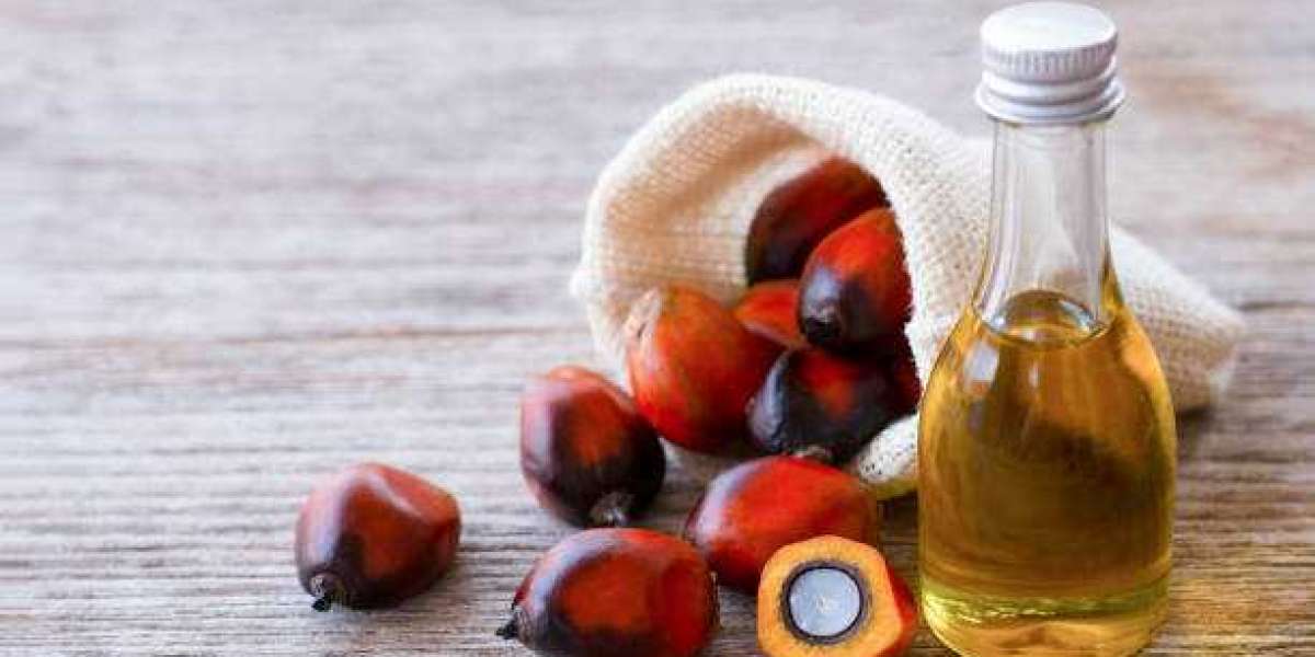 Palm Oil Market reports,Market Global Analysis And Forecast Till 2030
