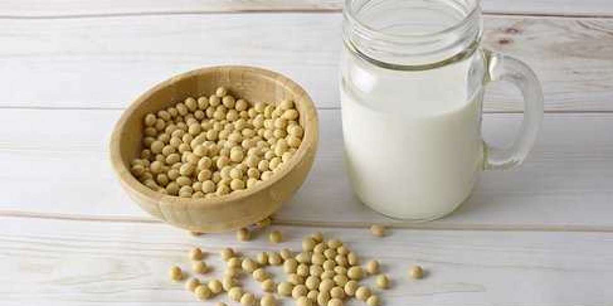 Soy Milk Market  Insights, End Users, Key Manufacturer, Geographical Segmentation and Forecast to 2030