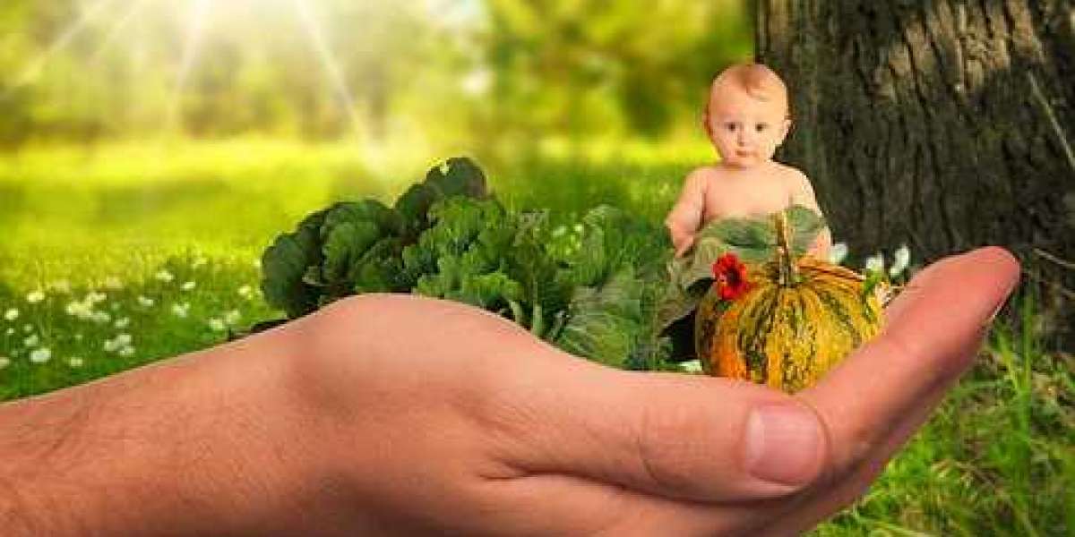 Organic Baby Food Market Research, Top Companies Strategy, Growth Rate, Latest Trends, 2027