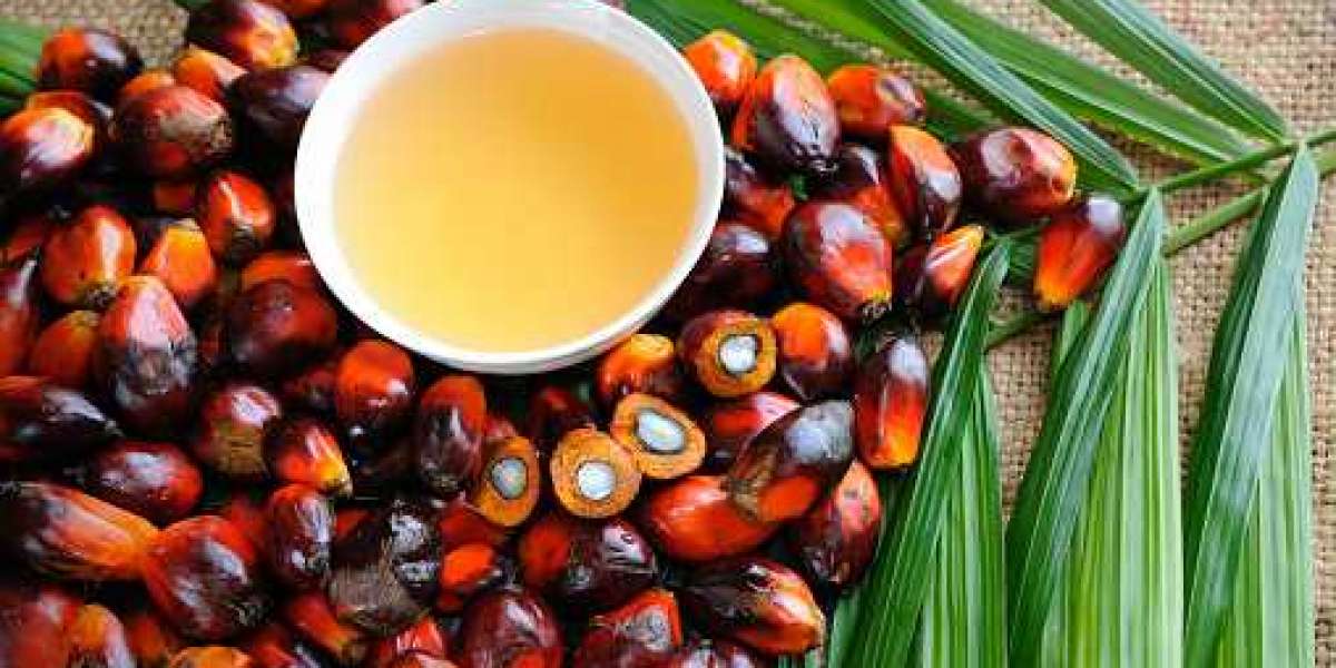 North America & Europe Palm Derivatives Market Share of Top Companies with Application, and Forecast 2028