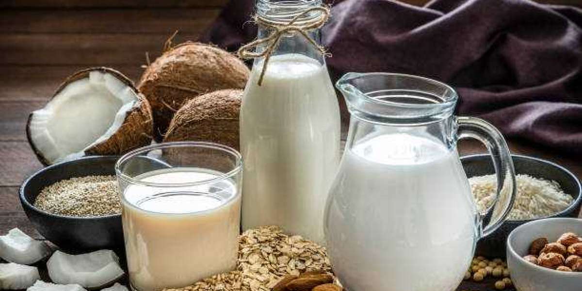 Organic Milk Protein Market Overview with Application, Regional Revenue, and Forecast 2030