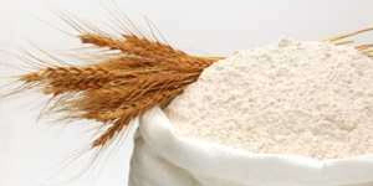 Wheat Gluten Market Insights, New Opportunities, Segmentation Details, Forecast 2030