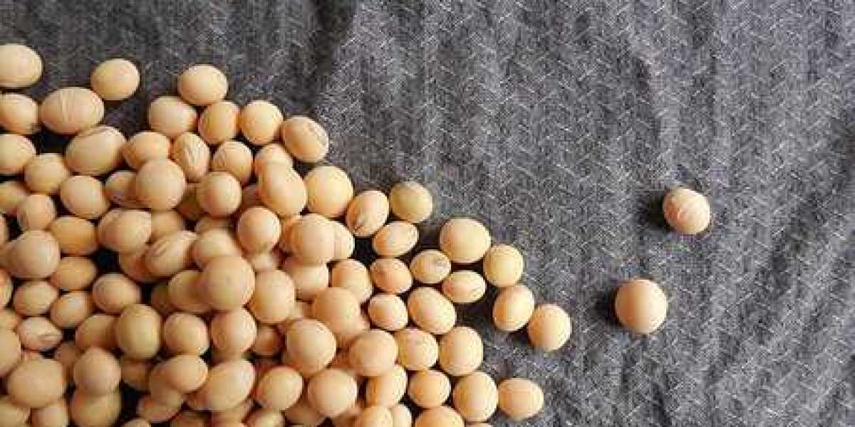 Soy Food Market Insights, with Strong Focus on Industry Size, by Financial Highlights, forecast to 2030