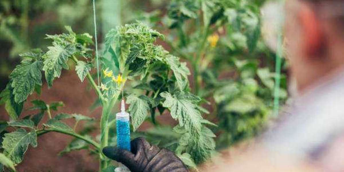 Biorational Pesticides Market Overview, Industry Analysis and Prospect Size, Share, Growth, Trends, Strategies, forecast
