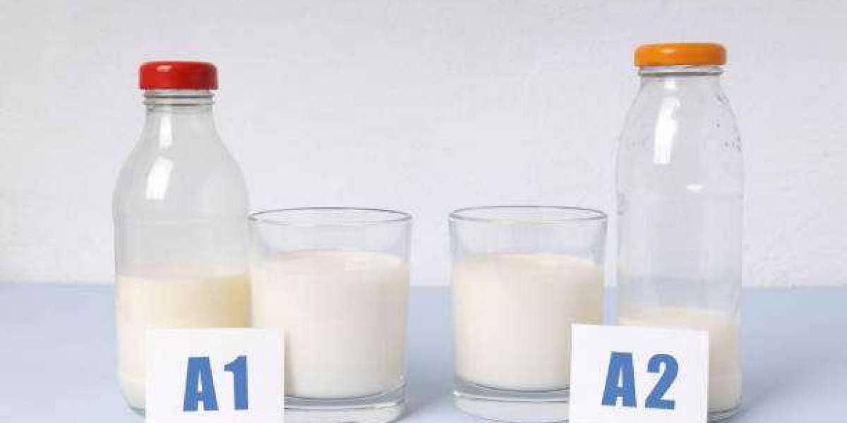 A2 milk market size, Research Report by Size, Share, Trends,  Analysis, Insights, Outlook and Forecasts 2030