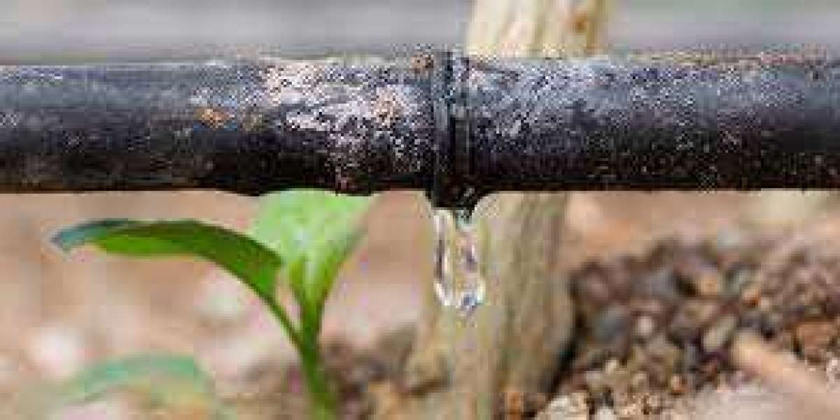 Drip Irrigation Market Research,Growth Prospects, Upcoming Challenges and Forecast to 2030