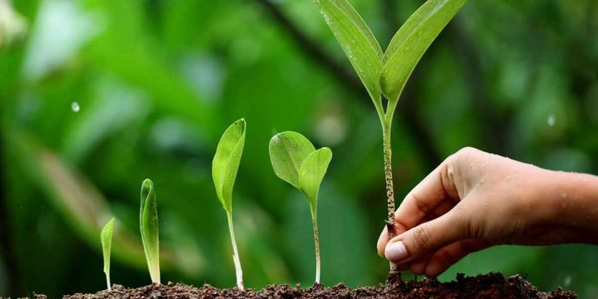 Plant Growth regulators Market  Research, Booming Worldwide With Top Player and Forecast Period 2022-2030