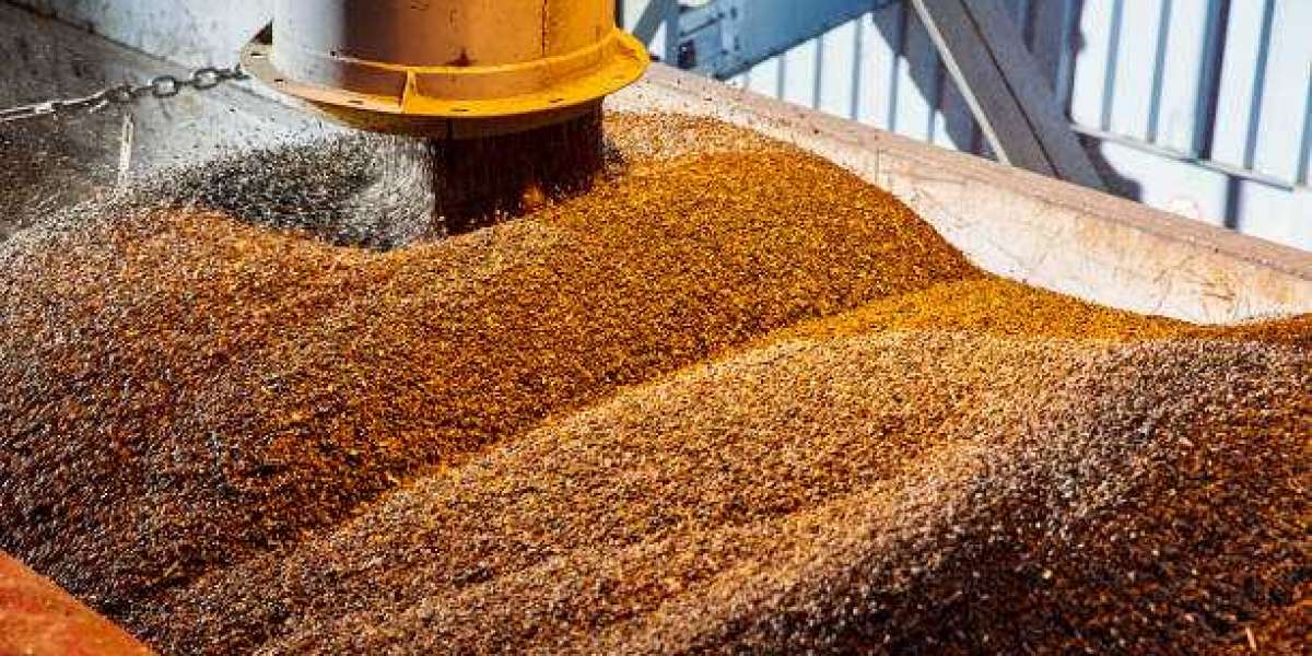 Seed Coating Materials Market Revenue, Region, Country, and Segment Analysis & Sizing For 2030