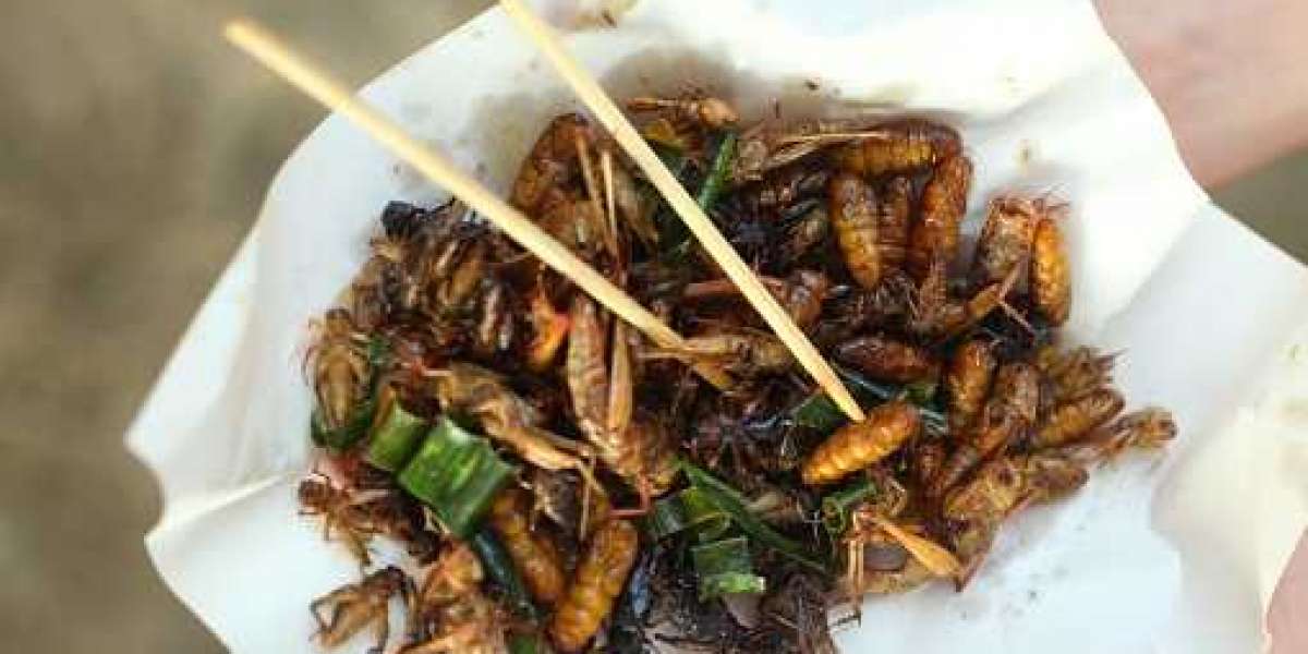 Insect Snacks Market Outlook on Rising Application, Trends & Potential Growth during the forecast period 2027