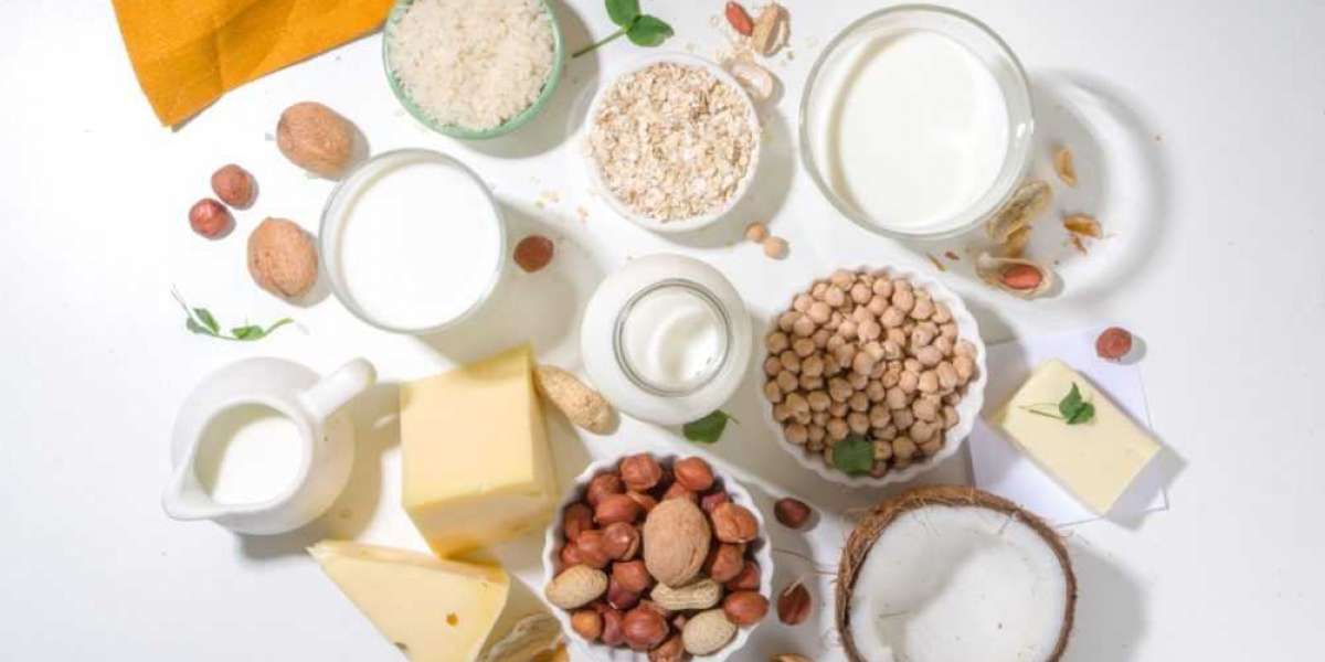 Alternative Proteins Market: A Look at the Industry's Segments and Opportunities