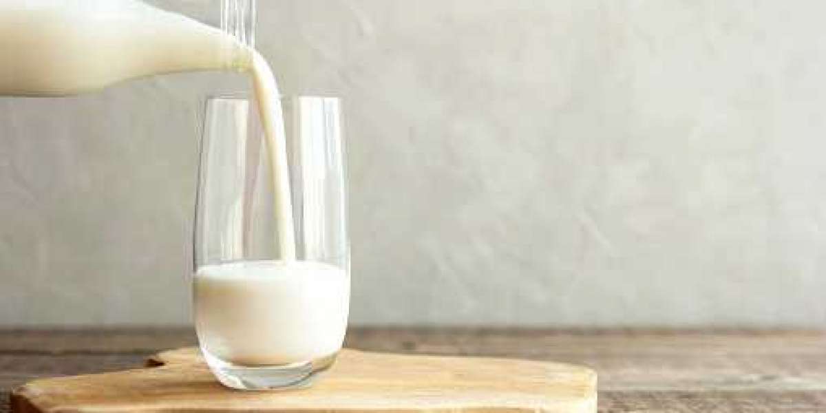 Milk Protein Market: Regional Analysis, Key Players, and Forecast 2030