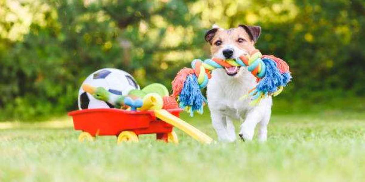 Pet Care Market insights,Analysis And Growth Forecast Till 2030