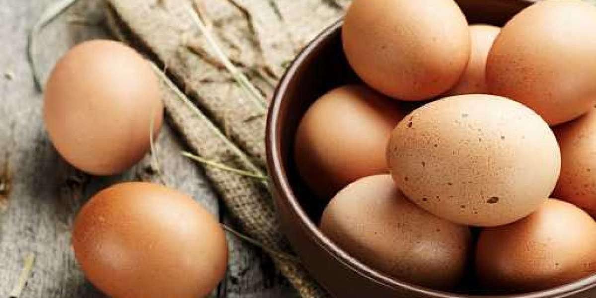 Egg Products Market Share by Statistics, Key Player, Revenue, and Forecast 2030
