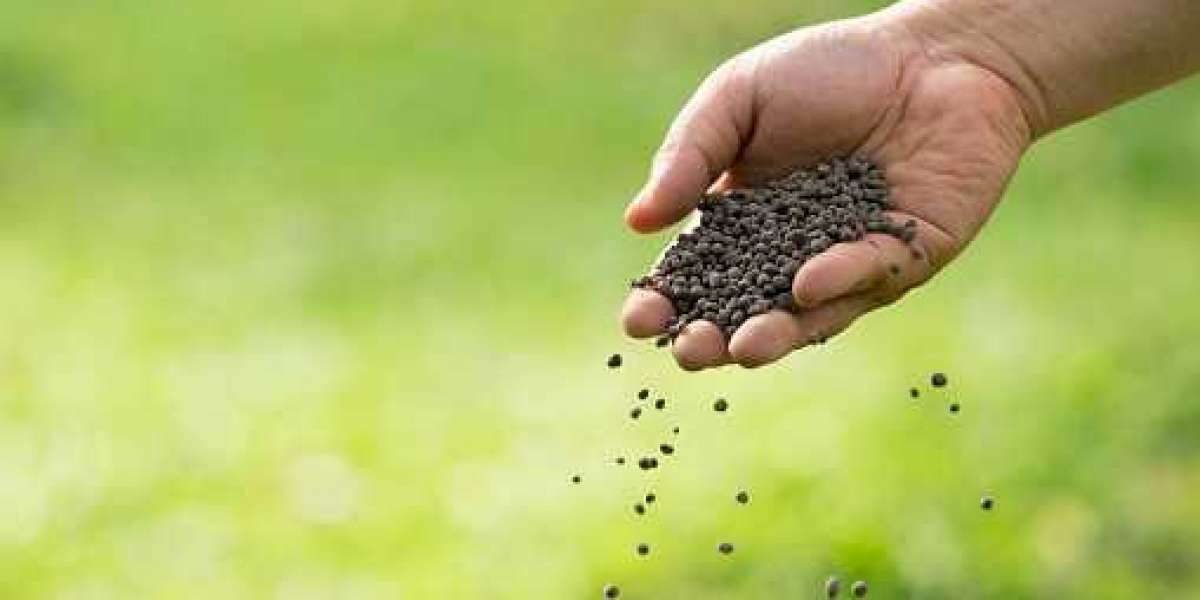 Fertilizer Additives Key Market Players by Product and Consumption, and Forecast 2030