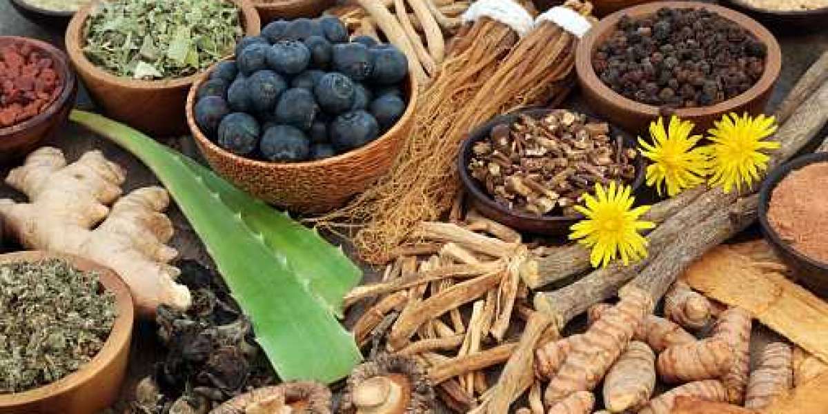 Medicinal Plant Extracts Market Overview Highlighting Major Drivers, Trends, Growth and Demand Report 2030