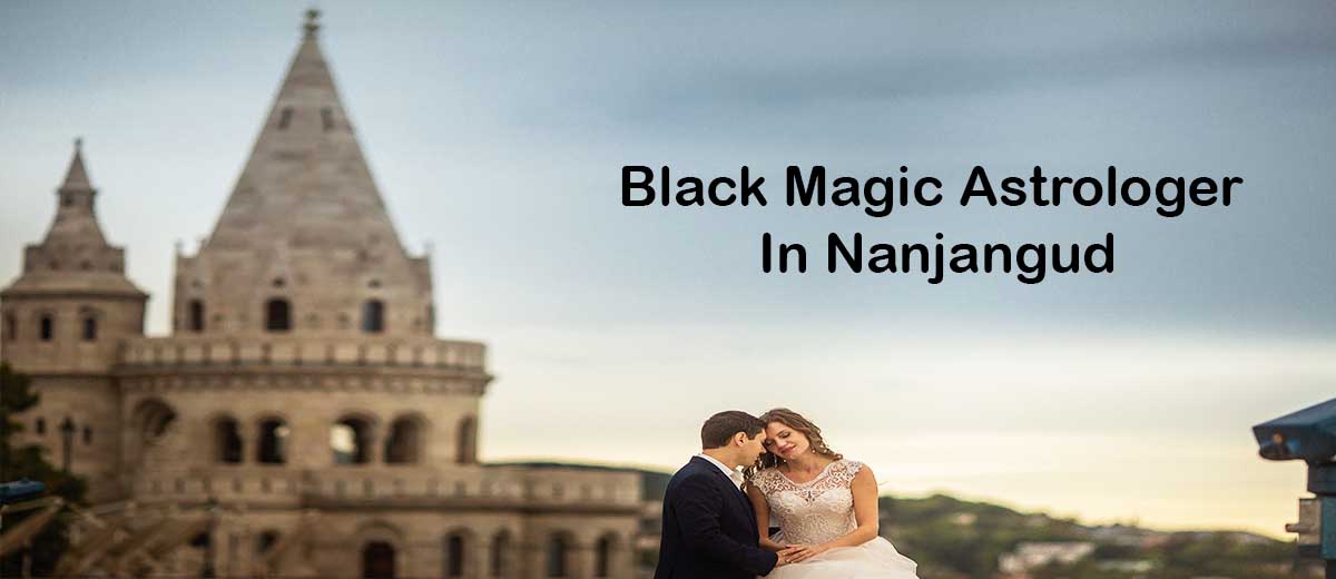 Black Magic Astrologer in Nanjangud | Black Magic Specialist