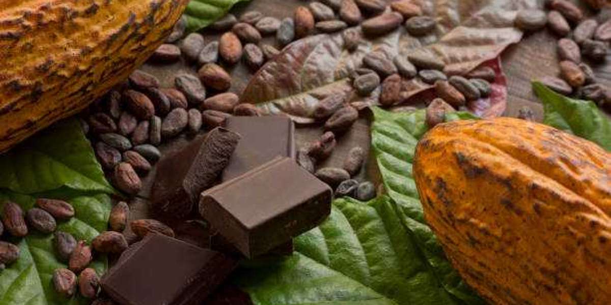 Organic Cocoa Market Overview, Share, Growth Factors, Trends, Analysis & Forecast 2030