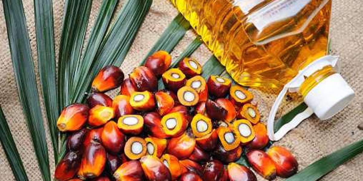 North America & Europe Palm Derivatives Market with Top Companies, Gross Margin, and Forecast 2028