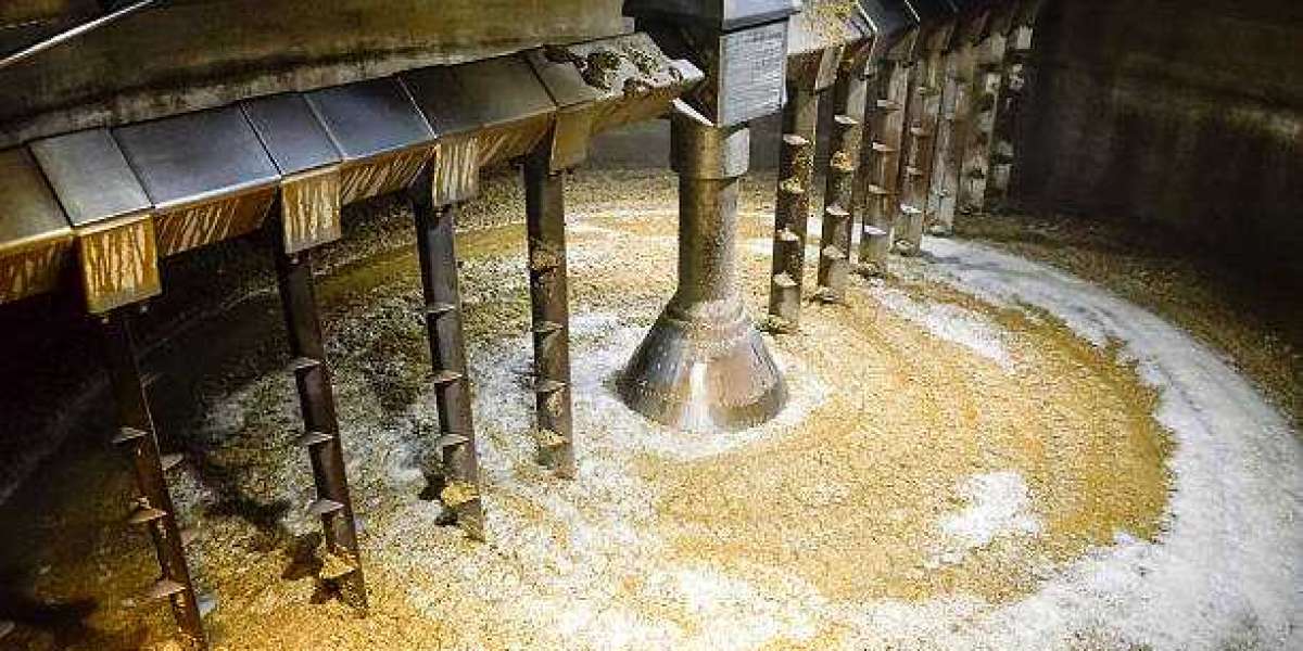 Distillers Grains Market Trends Revenue Share, Major Players, and Forecast 2032