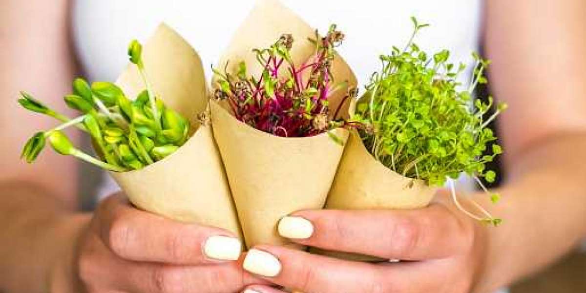Microgreens Market Insights: Drivers, Key Players, and Forecast 2030