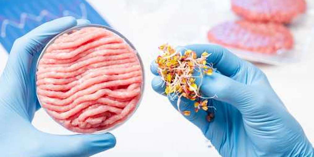 Lab-Based Meat Market Insights: Drivers, Key Players, and Forecast 2030
