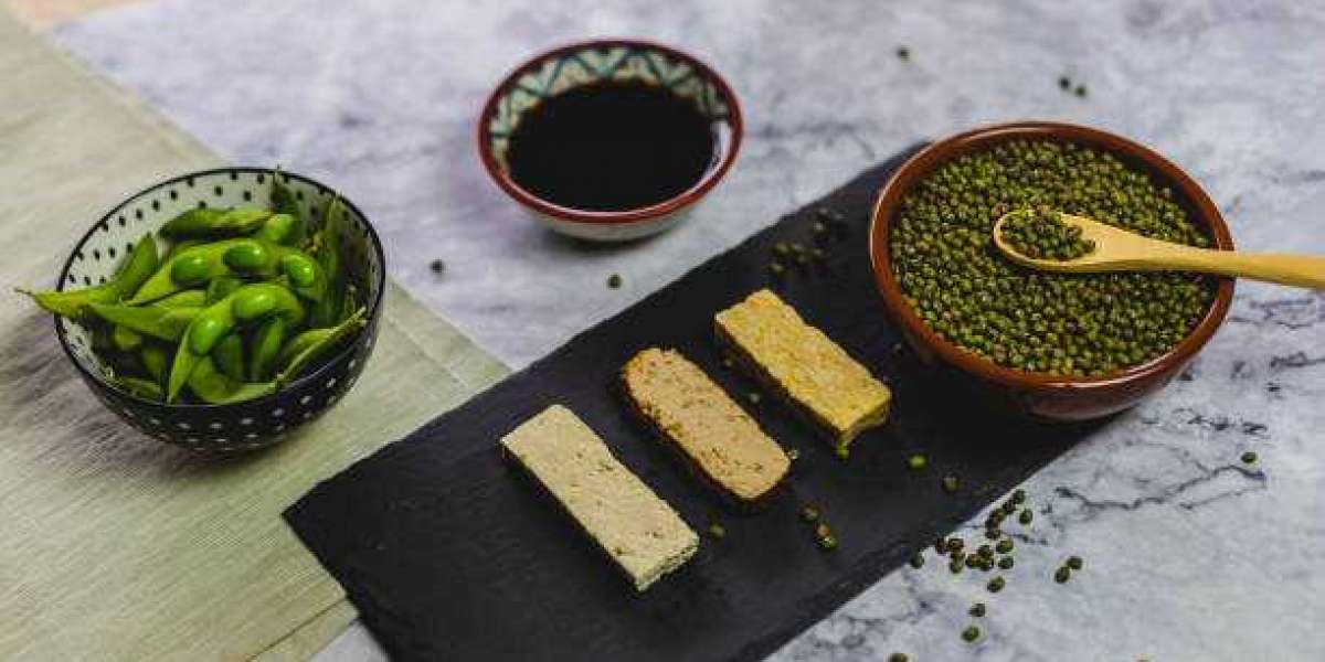 Soy Derivatives Market Research Report– Global Forecast Till 2028