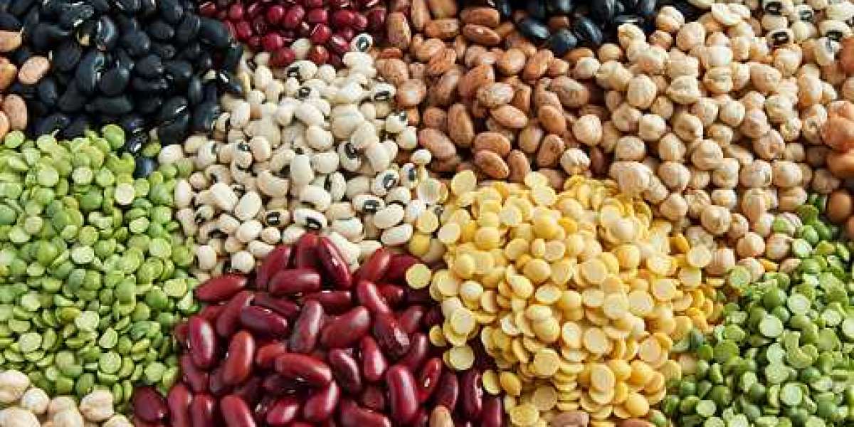 Fruits & Vegetable SeedsMarket Report, Size, Top Companies & Manufacturers Share, Growth, Trends, and Forecast 2