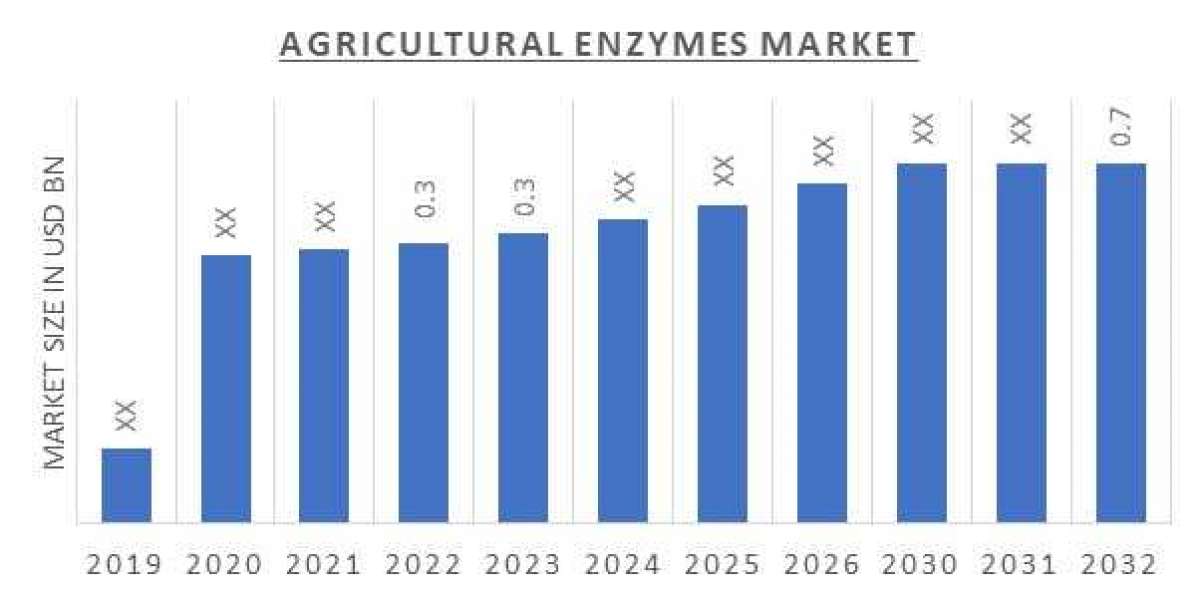 Kay Agricultural Enzymes Market Players, Overview, Competitive Breakdown and Regional Forecast By 2032