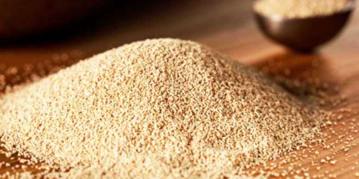 Global Brewer’s Yeast Market Size, Share, Analysis and Forecast 2023 – 2032