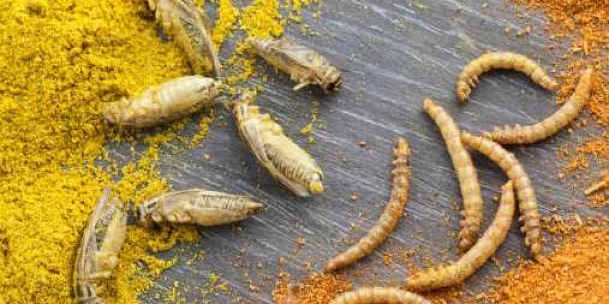 Insect Protein Market Share, Increasing Demand, Emerging Trends, Growth Opportunities and Future scope