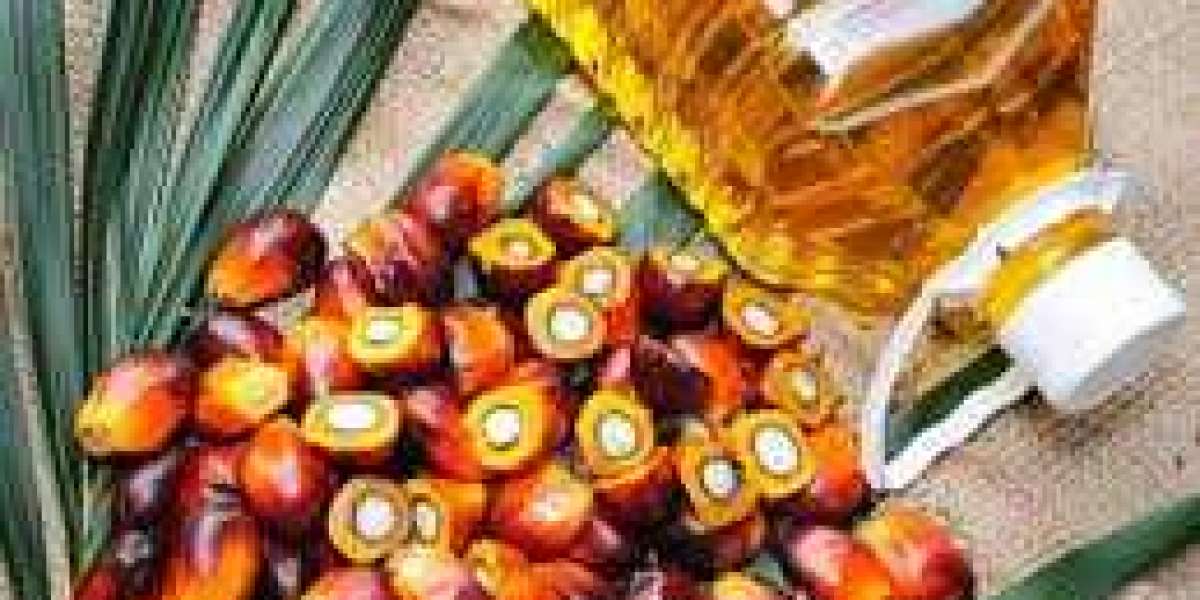 Key Palm Oil Market Players, Business Opportunities, Current Trends, Challenges and Global Industry Analysis