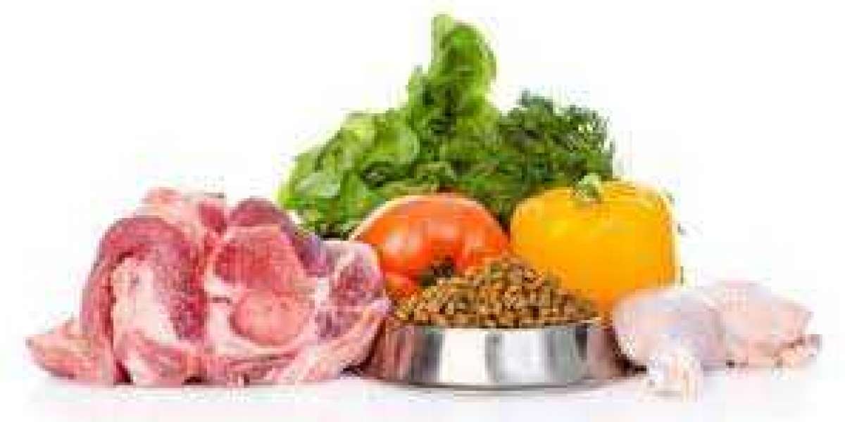 Pet Food Ingredients Market Growth Analysis on Latest Trends and Forecast By 2030