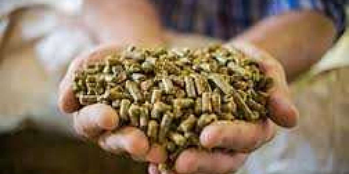 Feed Enzymes Market Overview: Analysis Size, Share, Top Players, Application, and Opportunities Forecast to 2030